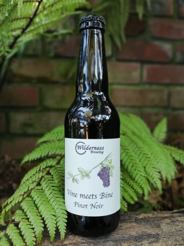 Vine Meets Bine - Pinot Noir 2023