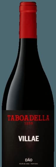 Villae Tinto