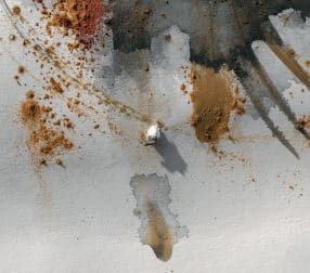 SAISON DU CHAI
