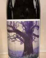 Sapience Pinot Noir