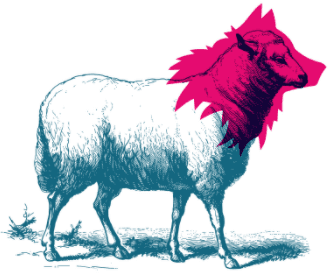 Abricot