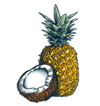 BON V!V Coconut Pineapple