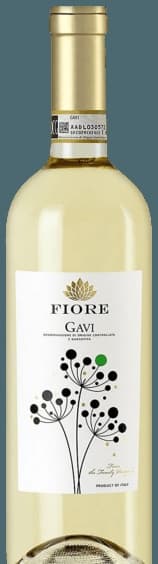 Gavi