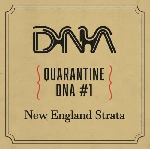 Quarantine DNA #1: New England Strata