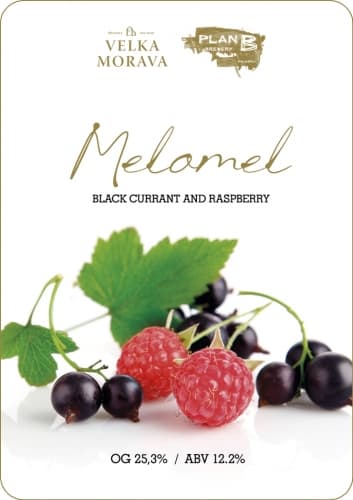 Melomel Black Currant / Raspberry