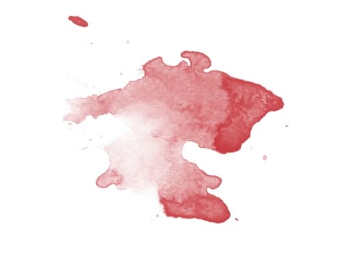 Hibiscus Rouge 2018