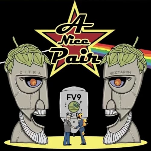 FV9 Project - A Nice Pair Haze (双雄 浑浊双倍IPA)