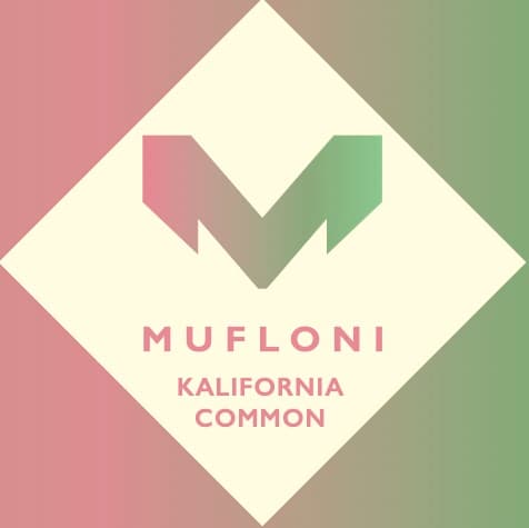 Mufloni Kalifornia Common