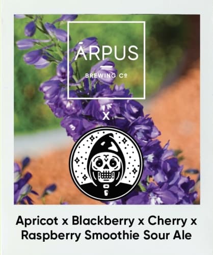 Ārpus X Messorem Apricot X Blackberry X Cherry X Raspberry Smoothie Sour Ale