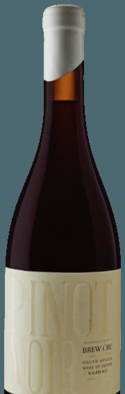 Pinot Noir