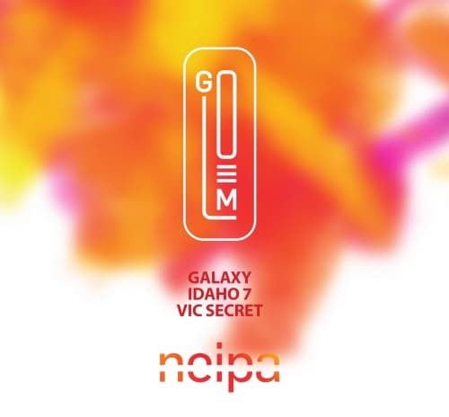 NEIPA (Galaxy, Vic Secret, Idaho 7)