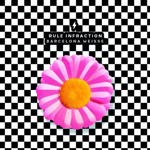 RULE INFRACTION