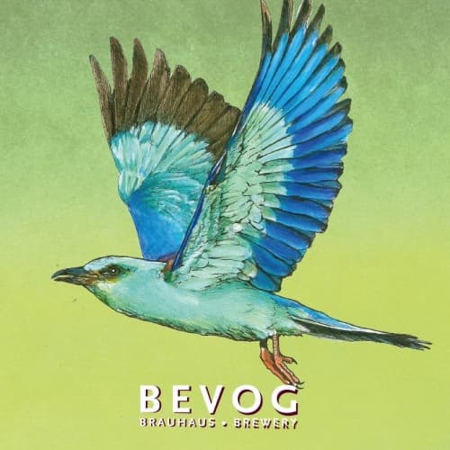Extinction Is Forever!: European Roller