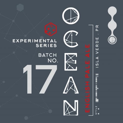 017 - EXPERIMENTAL SERIES - English-Style Pale Ale