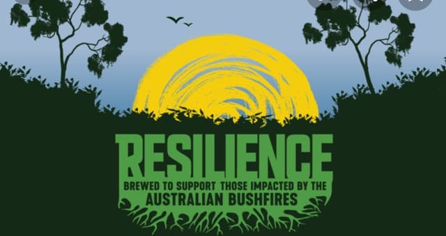 Resilience 2020