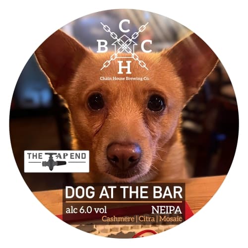 Dog at the Bar