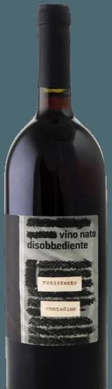 Vino Nato Disobbediente