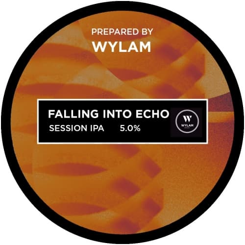 Falling Into Echo