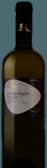 Anthologia Falerno del Massico