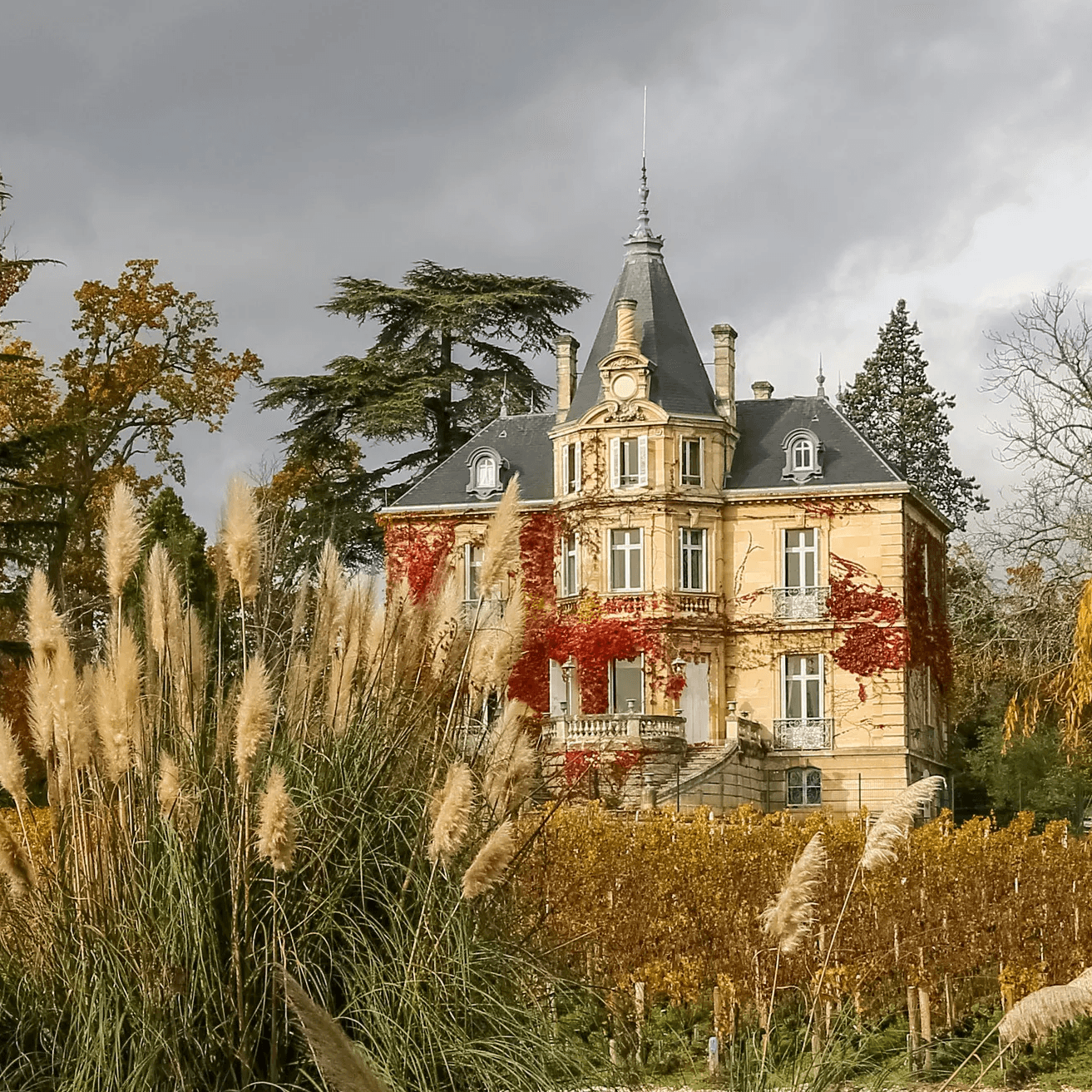 Château les Carmes Haut-Brion