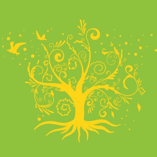 Whimsy