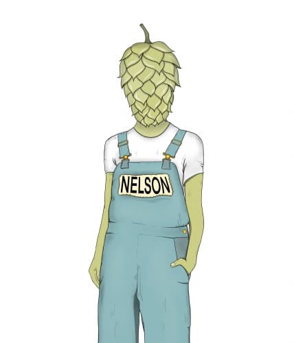 NELSON NELSON