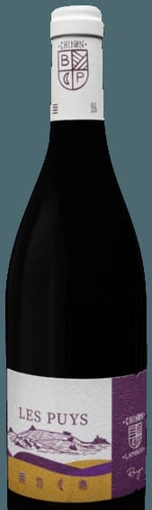 Les Puys Chinon