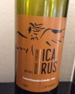 Icarus Red