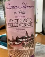 Pinot Grigio Delle Venezie Rosé