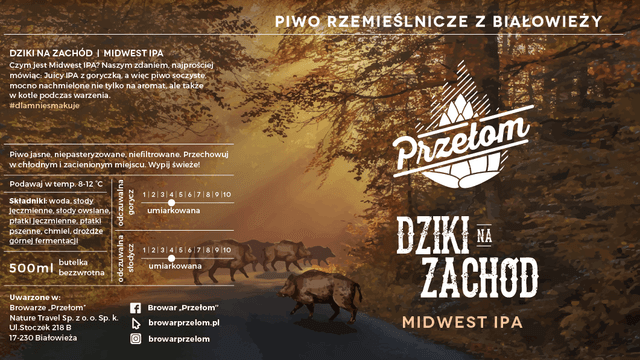Dziki Na Zachód