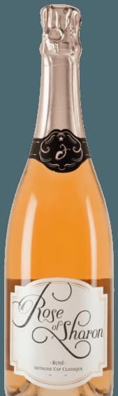 Rosé of Sharon Rosé