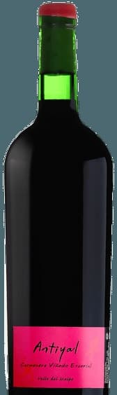 Viñedo Escorial Carmenère