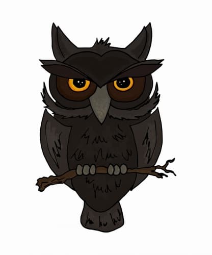 Owl Eyes On Black