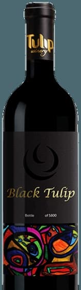 Black Tulip