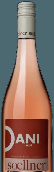 Dani Rosé