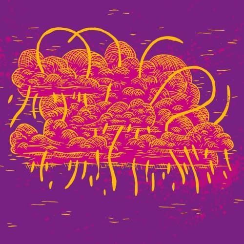 Cloud Nectar
