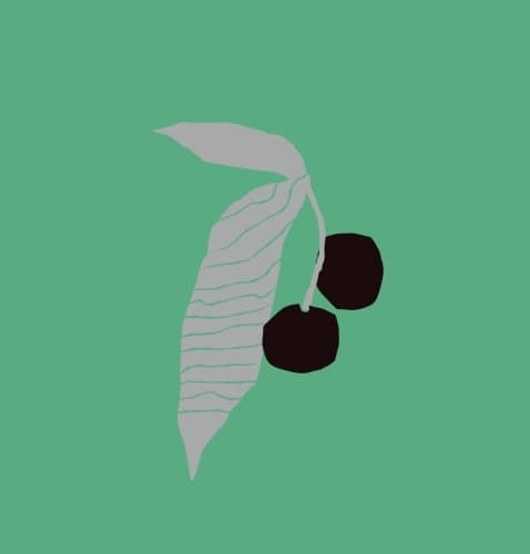 Fruits défendus: griotte