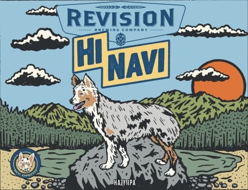 Revision Hi Navi