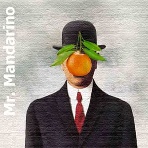 Mr. Mandarino