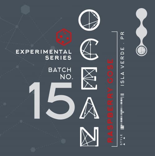 015 - EXPERIMENTAL SERIES - RASPBERRY GOSE