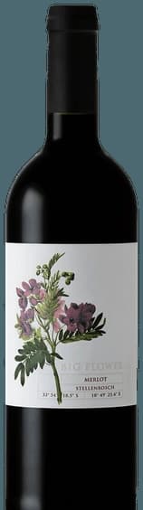 Merlot