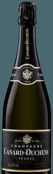 Brut Millésimé Champagne