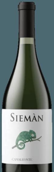 Camaleonte