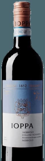 Nebbiolo