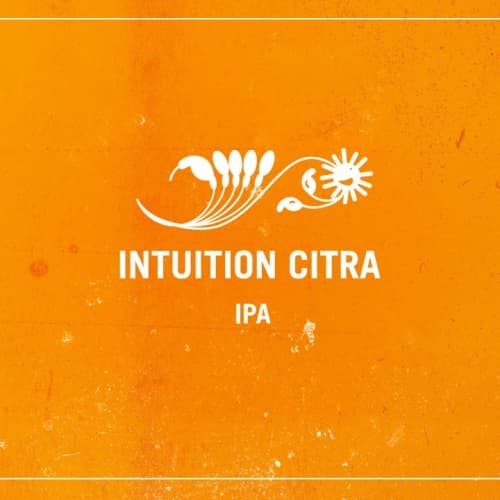 Intuition Citra