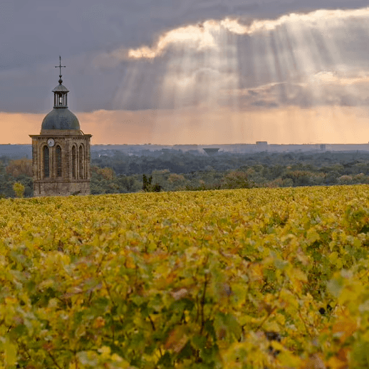 Domaine Huet