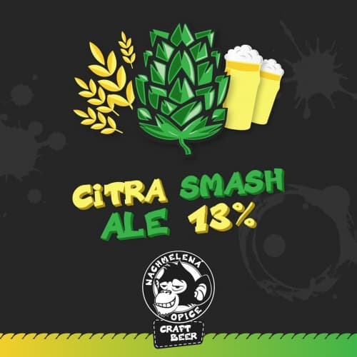 Citra SMASH Ale 13%