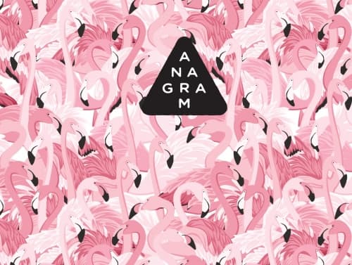 Pink Flamingose - Sour Cherry