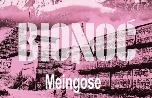 Meingose
