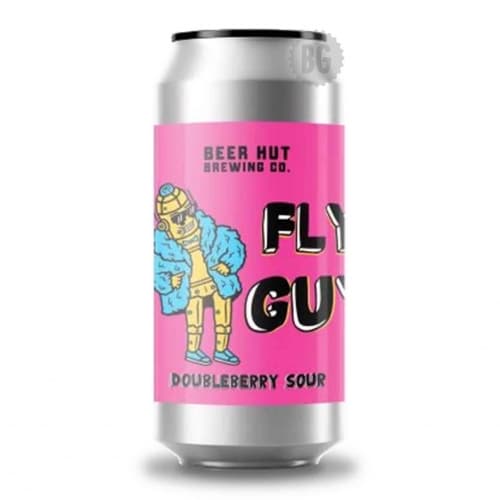 Fly Guy